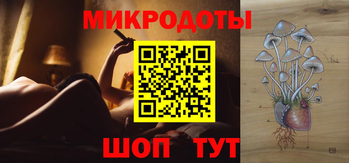Псилоцибиновые грибы Cubensis Заволжье