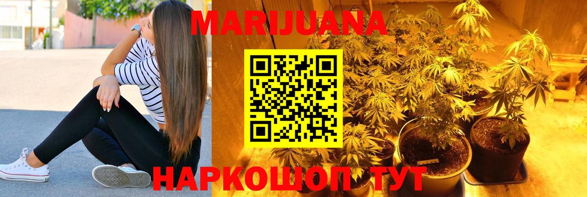 Бошки Шишки планчик Заволжье